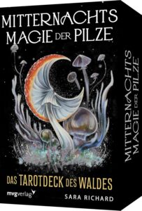 Mitternachtsmagie der Pilze